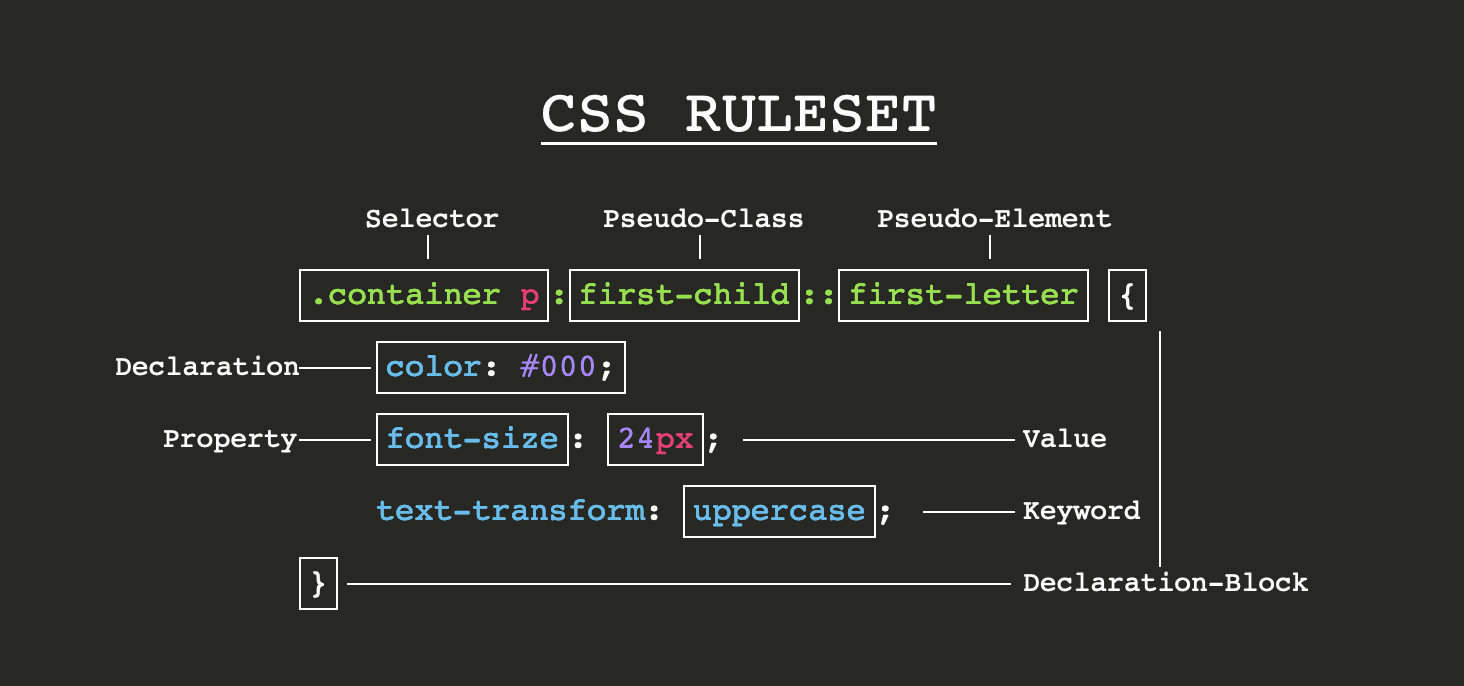 CSS anatomy